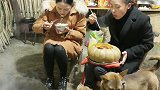 姐妹花吃南瓜糯米饭，表妹直接整只啃太过分了