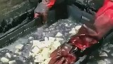 正宗臭豆腐，闻着臭吃着香