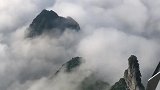 张家界玻璃栈道云海