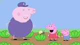 小猪佩奇：佩奇扮蜗牛，在地上慢慢爬，真是形象呀