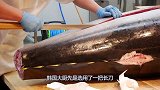 韩国大厨处理金枪鱼，刀工干净利落不输日本人，越看越过瘾！