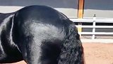 渣女大波浪，渣马锡纸烫，受教了！