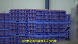 荷兰鸡蛋破壳加工流水线，蛋清蛋黄“骨肉分离”做蛋粉！