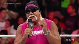 WWE-14年-RAW第1114期：胡克 霍根台上演讲 台下粉丝飙热泪-花絮