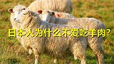 经济发达的日本，国人喜食肉食为何唯独不吃羊肉？原因有三点
