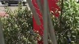 一次偶然的机会发现了公园的风铃，随手拨动了一下真是人间绝唱！