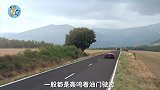 汽车消音器是怎样工作的用切割机切开后，内部结构说明一切