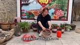 吃剩的果皮千万别乱扔，教你自制养花万能土，用上它瞬间开花爆盆