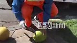 游客路过被环卫工人投喂椰子 “环卫阿姨特别热情 来不及拒绝” 网友：善意是最好的宣传#旅游 #环卫工人
