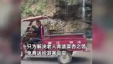 77岁老人大热天景区门口卖杏，景区豪横买下千斤送游客！