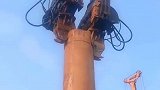 两个螃蟹夹子一起干