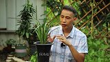 6-7月份的兰花，只要坚决不做这3件事，养强壮，新芽多变简单