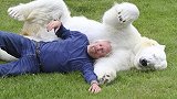 老人收养一头北极熊，12年长到300公斤，它却这样对待老人！