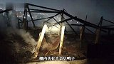 温州一养殖户鸭棚深夜突发火灾，烈火吞噬鸭棚，千余只鸭子逃窜