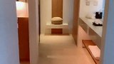 回香港打个卡