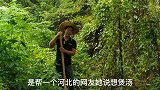 帮一个河北的老板娘挖地胆头，她说广东人喜欢煲汤她也想试试。