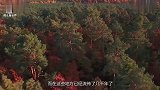 大叔上山捡到一“罕见怪石”带回家后切开，发现另有原因