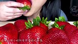 强迫症看不了，吃个草莓容易吗，乌龟：我太难了！