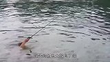 小伙子直男啊，你怎么能这样回应女邻桌呢！