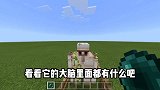 我的世界：进入铁傀儡的大脑，看看里面有什么