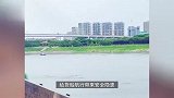 多名泳者横渡长江不知躲避，货船船主吓到骂人：不想活了是不是！