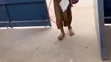 只因妈妈一句牛蛙快卖完了，萌娃就带回一书包惊喜