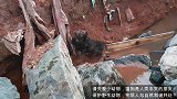 在废水道救出流浪的小母狗，清洗后超可爱！