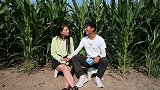 小伙苞米地约会美女，没想被邻居偷听，全程爆笑