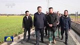 【新思想引领新征程】礼赞劳动创造 奋斗成就梦想