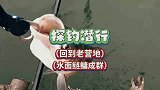 探钓潜行回到老营地，水面发现鲢鳙，新的钓台连夜水下作业布窝