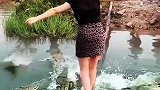 虎视眈眈的鳄鱼，女子能过去吗