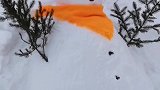 我家门口的雪人。我堆了五天终于完成了。