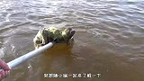 渔民发现水中有东西，用船桨一戳，难道这就是传说中“水鬼”吗？