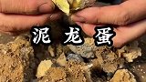 古法技艺泥龙蛋！很多人觉得多此一举，能流传至今，也是有它的道理
