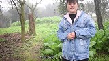 丫丫做一大碗姜鸭削面，用了半只鸭子，味道比馆子还好吃，过瘾