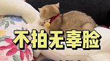 可以划走了，今天真没拍无辜脸小盆友！