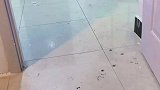 你们家也可以吗？