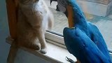 猫：心情不好，你不要来招惹我！