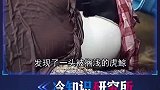 四只处于绝境的动物