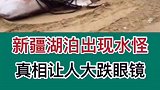 新疆湖泊出现水怪，真相让人大跌眼镜