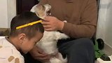 刚见面就跑怀里撒娇求安慰
