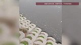 市民举报环卫工人将垃圾倒入渌江河，官方回应