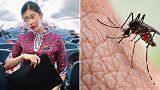 25岁泰国空姐被蚊子叮咬感染 3日后器官衰竭身亡