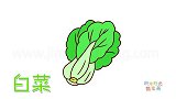 蔬菜简笔画大全，画简单的白菜简笔画