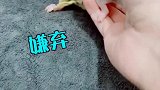 在带娃这件事上，同一个世界，同一个爹