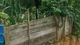没人跟我玩，我只能骑你车去玩玩