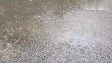 龚喜发财龚作人员麻麻的老公的视频