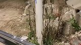 车停路边去吃夜宵，回来发现路边装上护栏