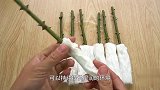 枝条剪成7截，包上纸巾，在花盆里围一圈，这是做什么