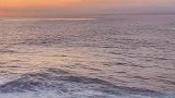 夕阳总会落在你身上，你总会浪漫一场